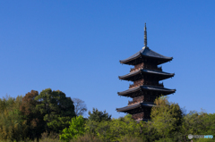 備中国分寺の春<2>