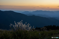 葛城山のススキ<10>