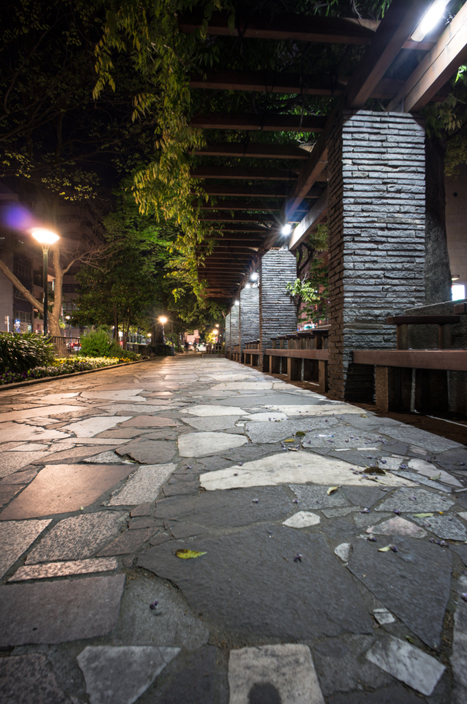 岡山市街の夜景<4>