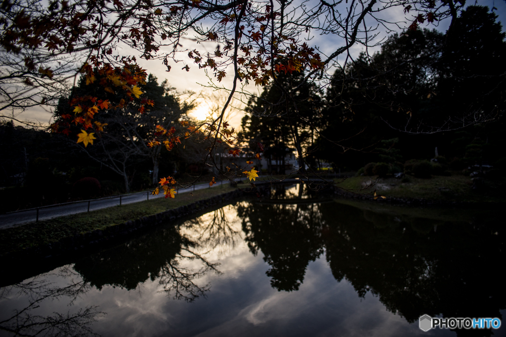 紅葉<水鏡>