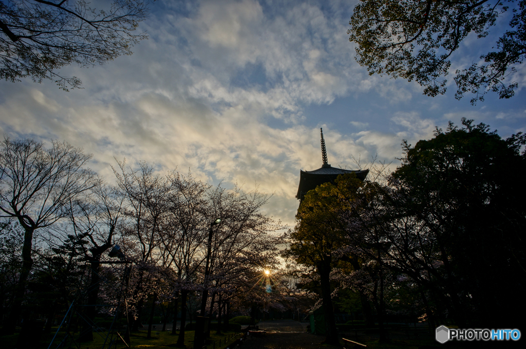 東寺の朝<2>