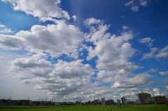 The 雲