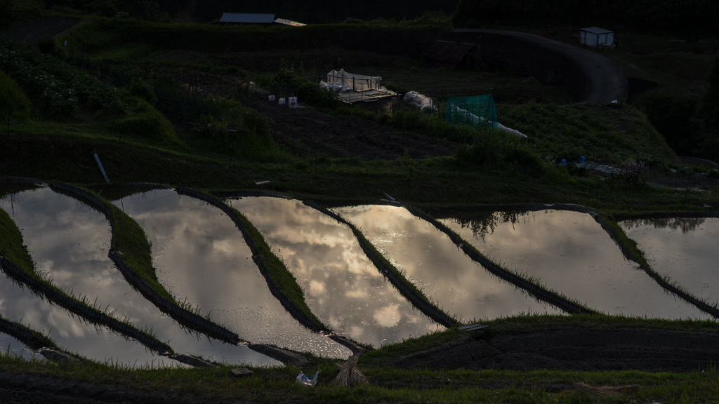 棚田<水鏡>