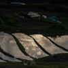棚田<水鏡>