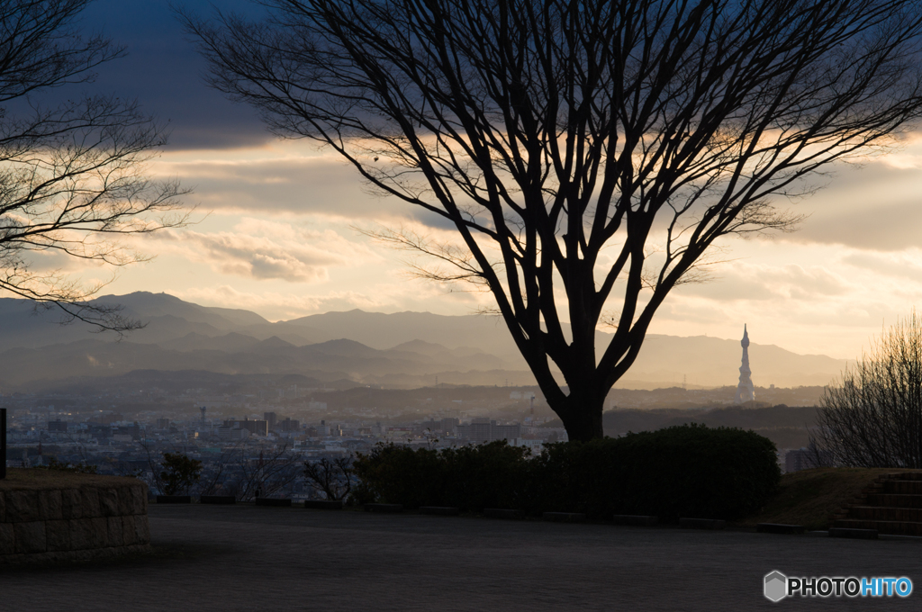 羽曳野中央霊園の夕景<2>