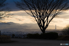 羽曳野中央霊園の夕景<2>