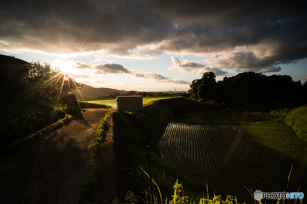 下赤坂の棚田風景<4>