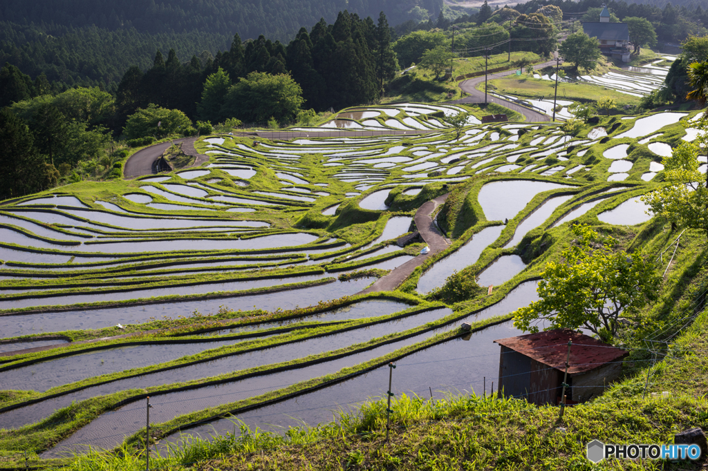 丸山千枚田の風景<1>