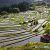 丸山千枚田の風景<1>