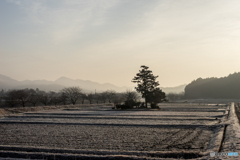 篠山市の朝<7>
