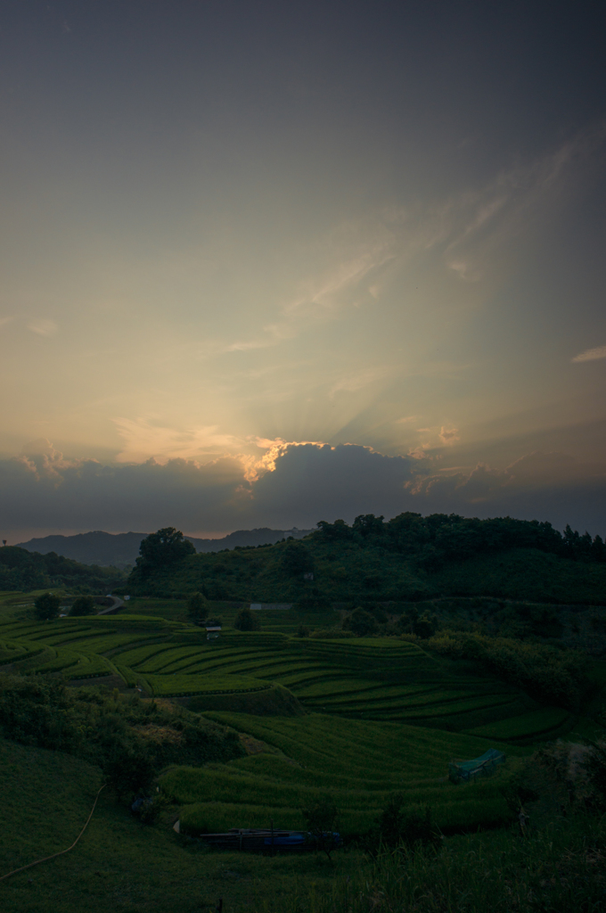 本日の夕暮れ(20140727)<たて>