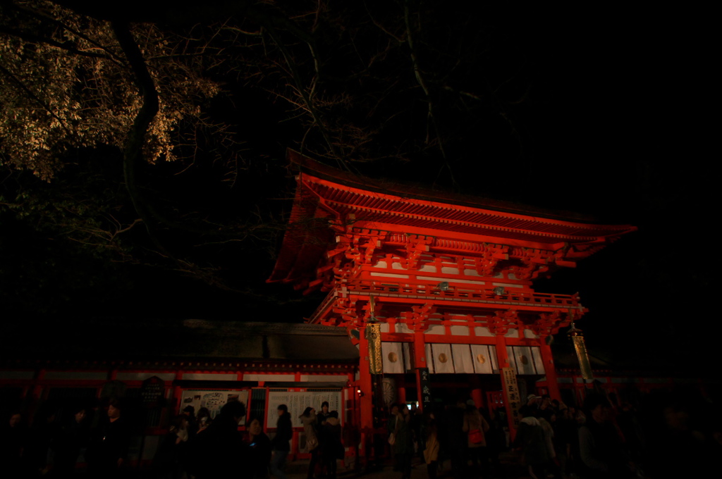 今年は下鴨神社へ