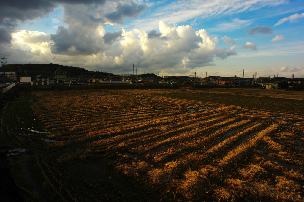 雲と畑