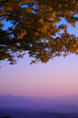 夕日に照らされて