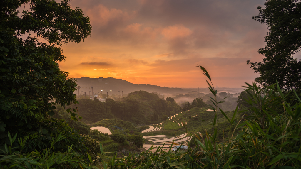 夕焼けの棚田