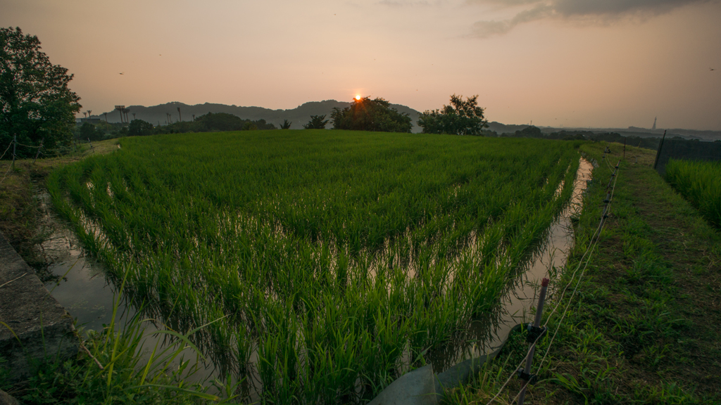 本日の夕日(20140721)
