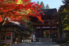 室生寺の玄関