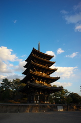 夕日に照らされて