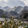 宇陀の山<1>