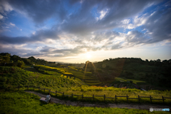 棚田夕景<1>