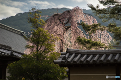 高台寺の桜