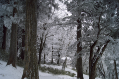 金剛山山頂付近