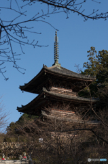 壷阪寺<1>