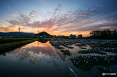 本日の夕焼け(20150919)