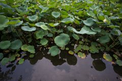 なになに? なになに?