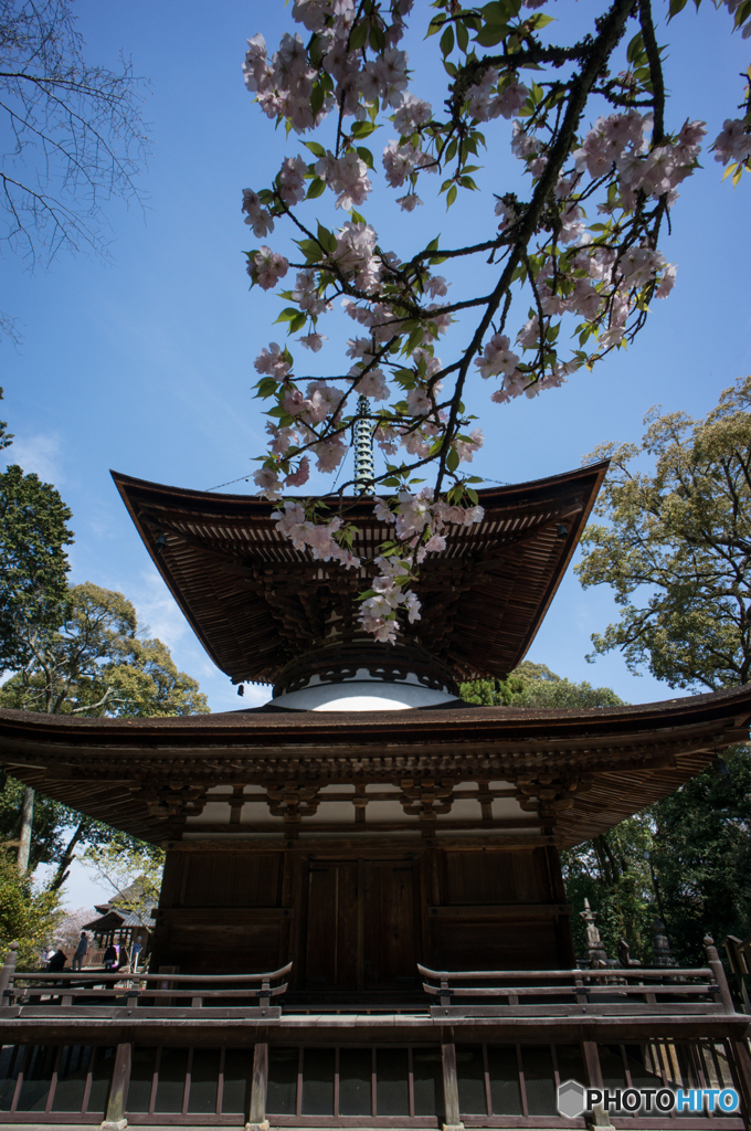 石山寺<4>