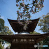 石山寺<4>