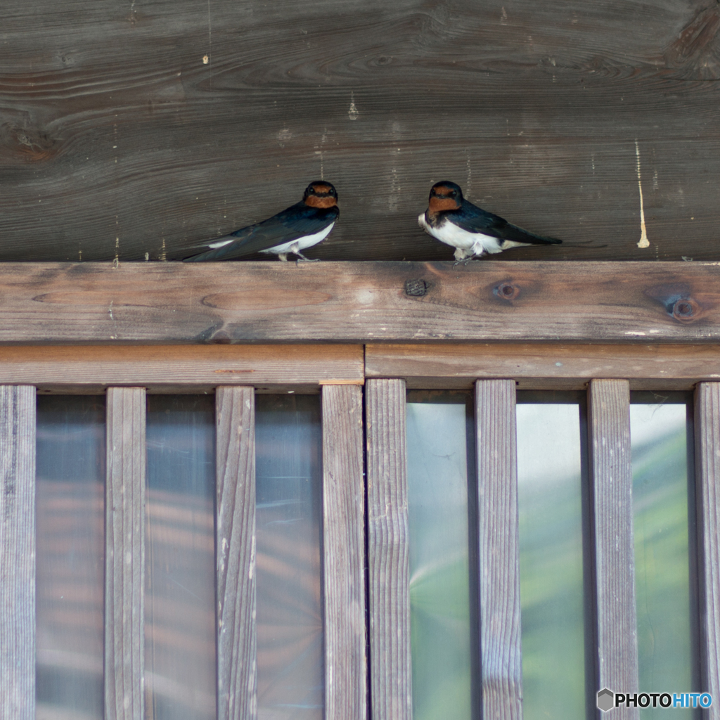 妻籠宿をぶらり<4>