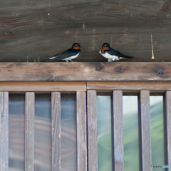 妻籠宿をぶらり<4>