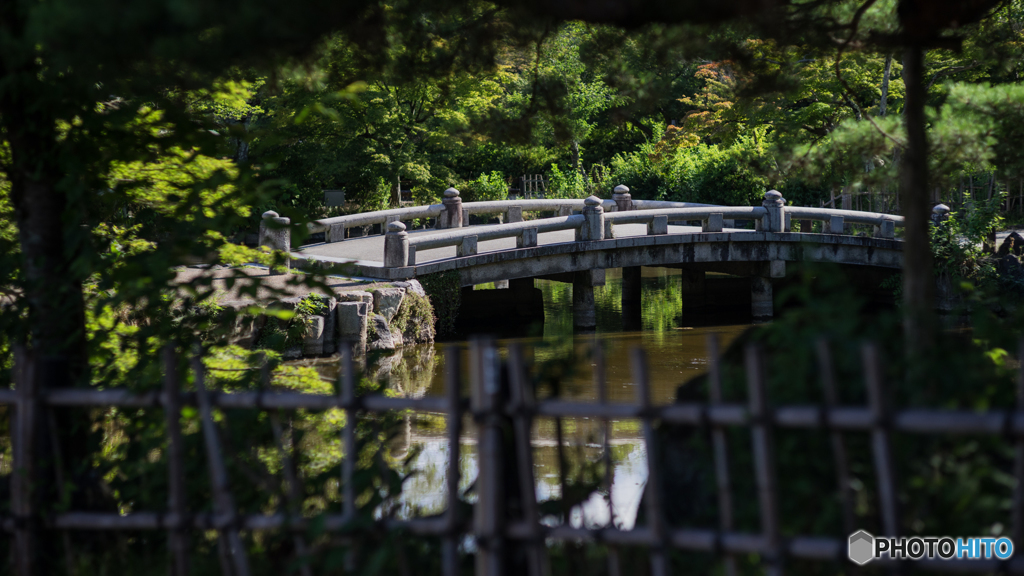 そっと覗き見<橋>