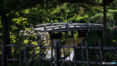 そっと覗き見<橋>