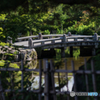 そっと覗き見<橋>
