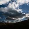 樹と太陽と雲と<1>