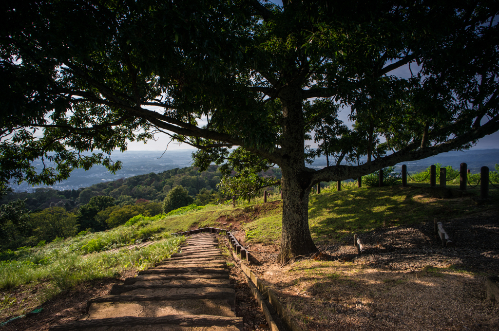 若草山の遊歩道<上から>