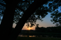 樹と川と夕日と<4>