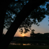 樹と川と夕日と<4>