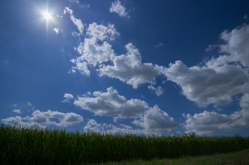 最後の追い込み