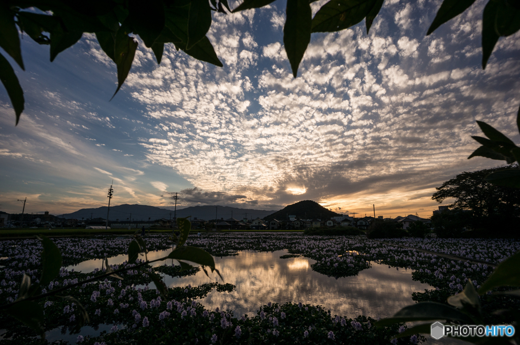夕景を覗いて