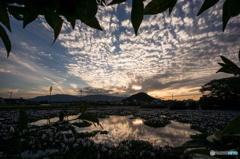 夕景を覗いて
