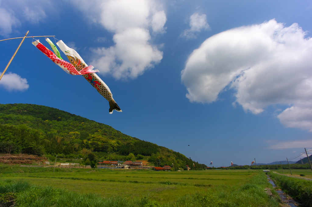 空を泳ぐ