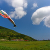 空を泳ぐ
