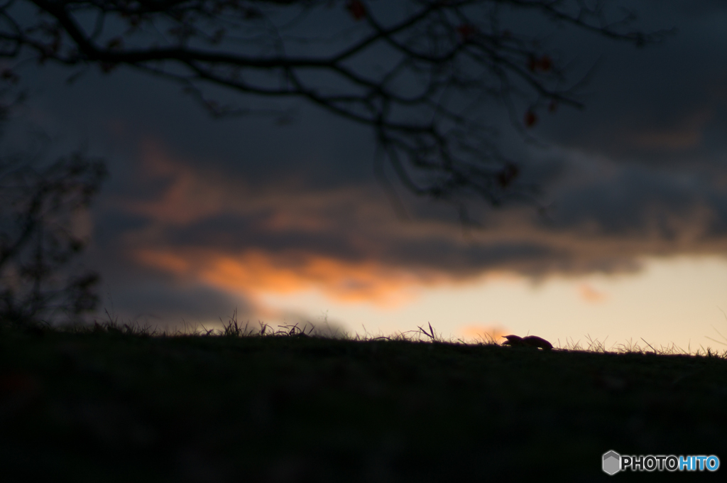 古室山古墳その2<4>