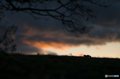 古室山古墳その2<4>