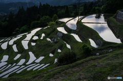 丸山千枚田の風景<12>