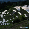 丸山千枚田の風景<12>