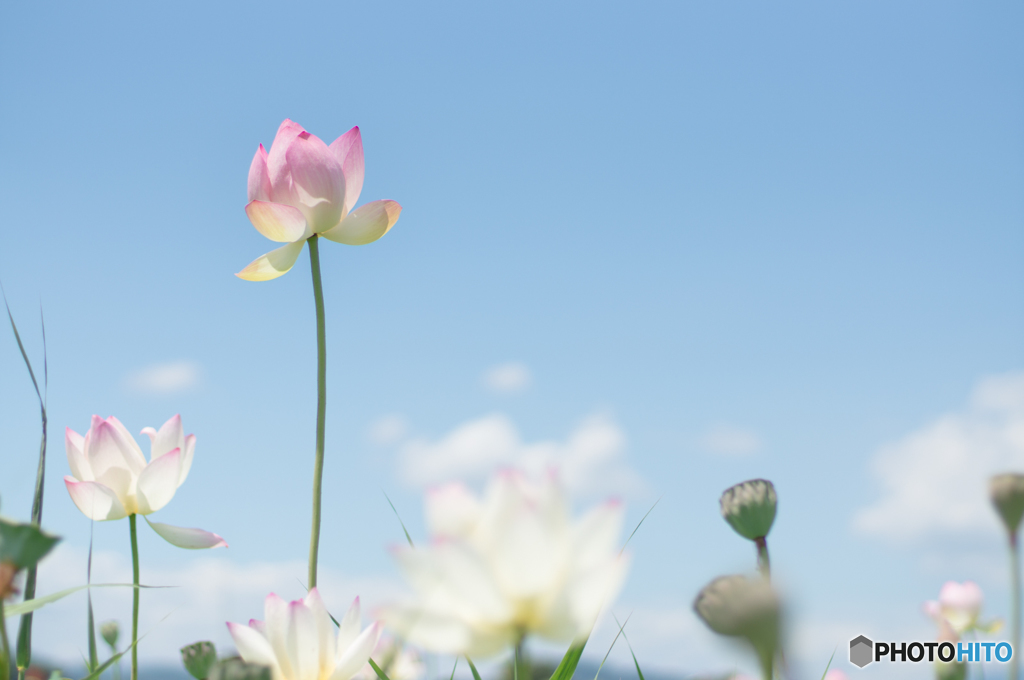 晴れの日に<7>